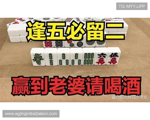 推对子玩法规则详解及实用技巧帮助玩家轻松掌握游戏策略 推对子玩法规则详解及实用技巧帮助玩家轻松掌握游戏策略