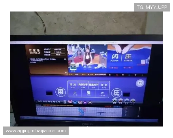 开云体育百家乐免费试玩体验帮助新手快速上手掌握游戏规则与技巧