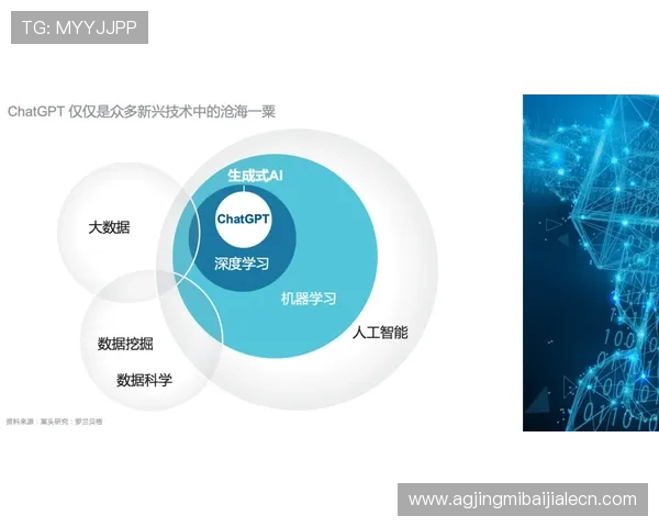 WM视讯游戏未来发展趋势分析，探索科技创新带来的全新娱乐方式