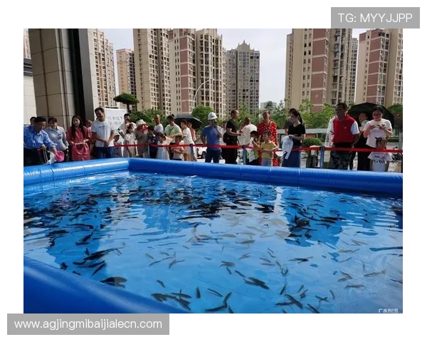 博鱼真人平台会员登录遇到障碍时的应对策略与技术支持