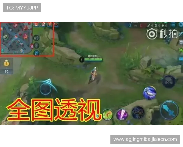 bbin真人游戏透视效果是否存在及其合法性分析与风险提示