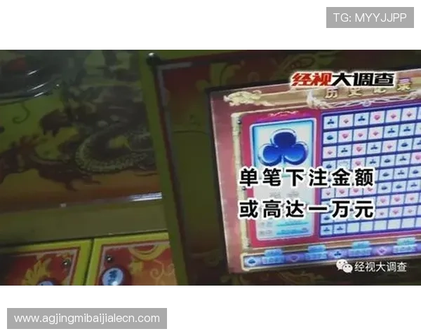 学习pa视讯百家乐的科学下注方法，提升您的长期盈利能力