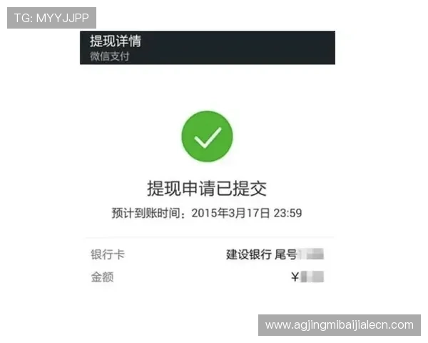 新利真人官网旗舰店安全保障措施全揭秘，保障玩家资金与个人信息安全
