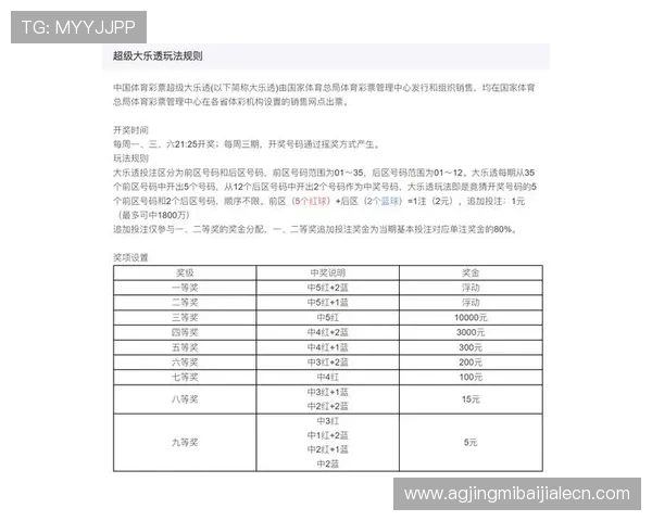 百家乐自动下注的优势与风险分析,助你理性制定投注策略