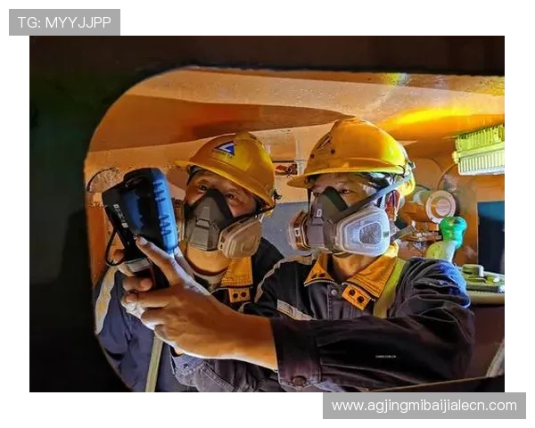 真人视讯旗舰厅官方地址的安全保障措施和可靠性分析