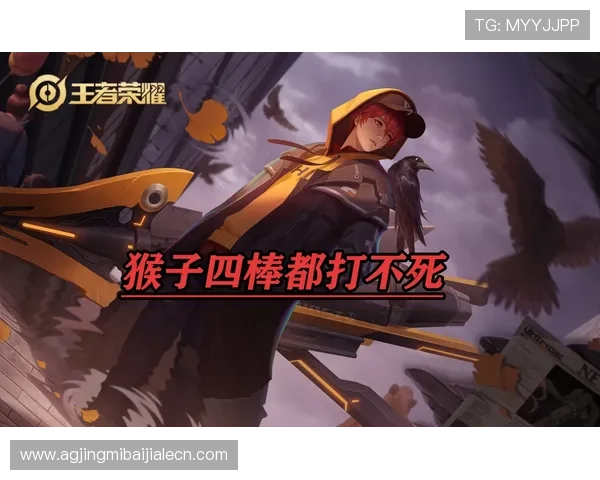 深入了解K8视讯官网的特色功能，提升你的线上娱乐体验与游戏胜率